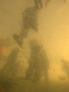 83