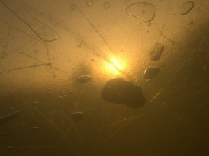 94